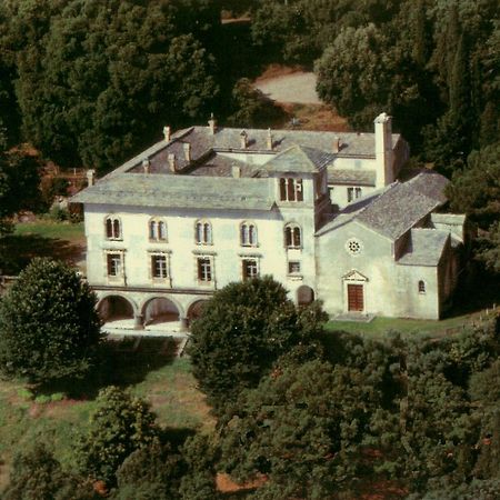 Gite Au Chateau Cagninacci San-Martino-di-Lota Экстерьер фото